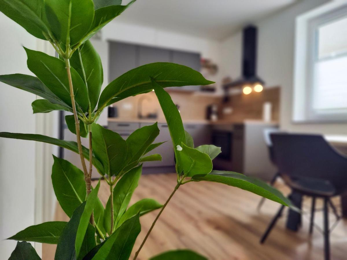Hygge Home - Mit Garten Und Stellplatz Fuer Feriengaeste-, Monteure / Netflix / 10 Min. Zur Sinsheim Therme Und Zur Autobahn Esterno foto