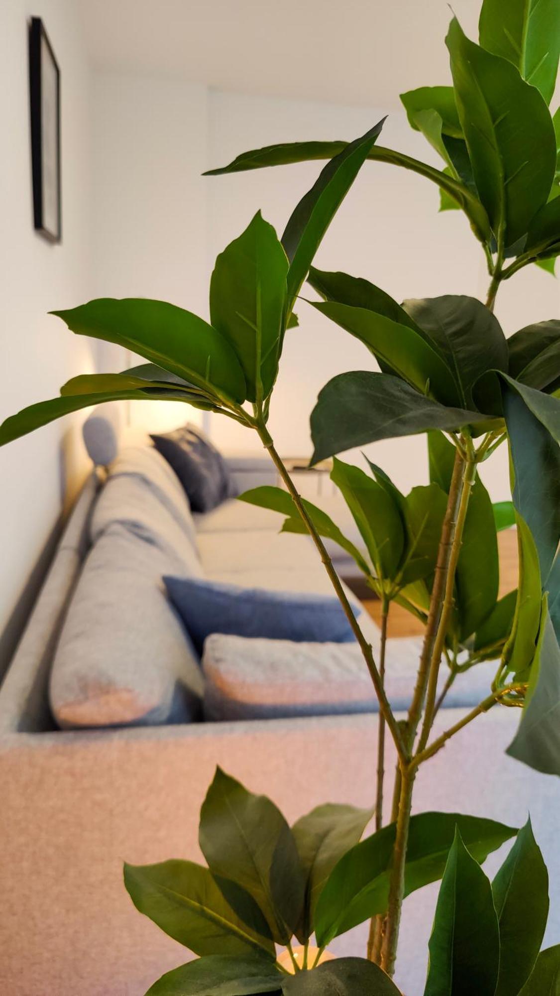 Hygge Home - Mit Garten Und Stellplatz Fuer Feriengaeste-, Monteure / Netflix / 10 Min. Zur Sinsheim Therme Und Zur Autobahn Esterno foto